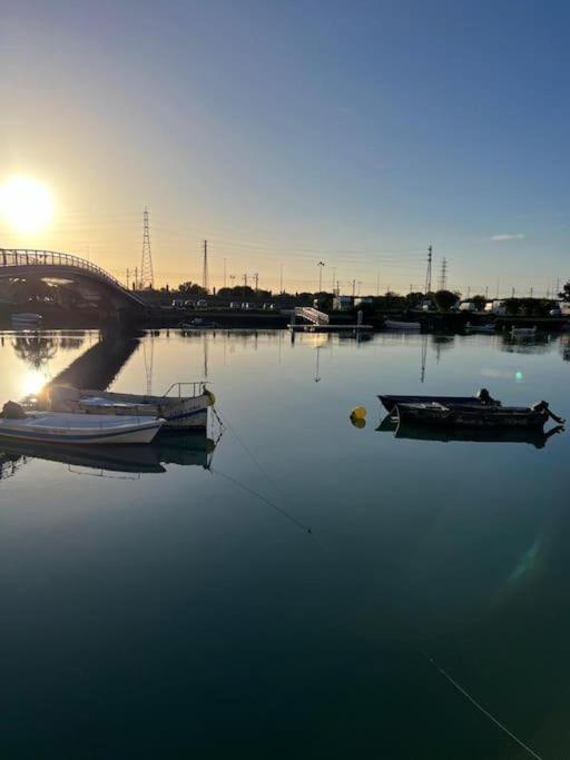 La Bodega Del Mar - Luminoso Y Centrico Apto Con Piscina En Verano Y Parking El Puerto de Santa María Dış mekan fotoğraf